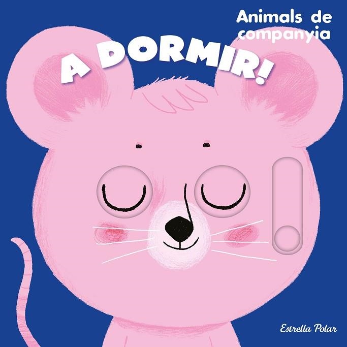 A DORMIR! ANIMALS DE COMPANYIA | 9788413895390 | ROEDERER, CHARLOTTE | Llibreria La Gralla | Llibreria online de Granollers