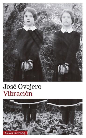 VIBRACIÓN | 9788419738615 | OVEJERO, JOSÉ | Llibreria La Gralla | Librería online de Granollers