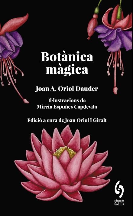 BOTÀNICA MÀGICA | 9788412730876 | ORIOL DAUDER, JOAN ANTON | Llibreria La Gralla | Llibreria online de Granollers