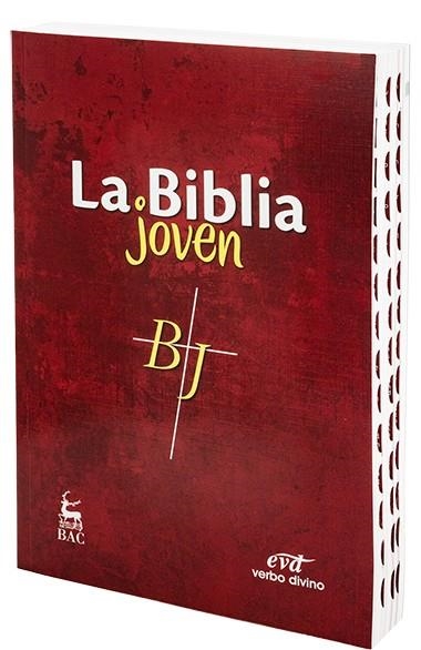 BIBLIA JOVEN, LA | 9788490732670 | DESCONOCIDO | Llibreria La Gralla | Llibreria online de Granollers