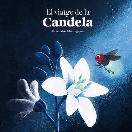 VIATGE DE LA CANDELA, EL | 9788410074415 | ALESSANDRO MONTAGNANA | Llibreria La Gralla | Llibreria online de Granollers