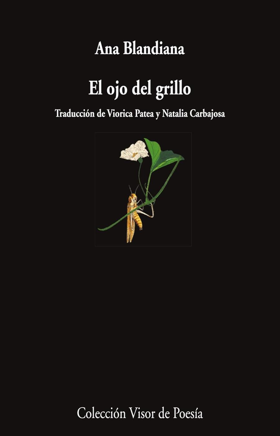 OJO DEL GRILLO, EL | 9788498955750 | BLANDIANA, ANA | Llibreria La Gralla | Librería online de Granollers