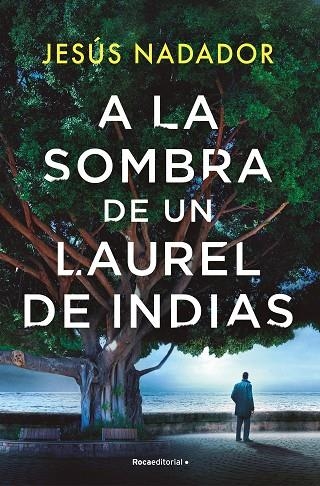 A LA SOMBRA DE UN LAUREL DE INDIAS | 9788410096011 | NADADOR, JESÚS | Llibreria La Gralla | Llibreria online de Granollers