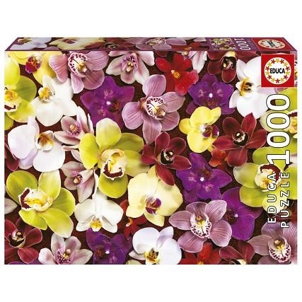 PUZZLE EDUCA 1000 PECES COLLAGE ORQUIDEES | 8412668195585 | 19558 | Llibreria La Gralla | Librería online de Granollers