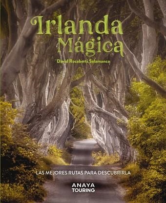 IRLANDA MÁGICA | 9788491587224 | ROCABERTI, DAVID | Llibreria La Gralla | Librería online de Granollers