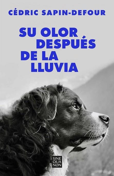 SU OLOR DESPUÉS DE LA LLUVIA | 9788466678766 | SAPIN-DEFOUR, CÉDRIC | Llibreria La Gralla | Librería online de Granollers