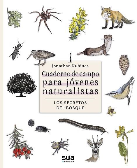 CUADERNO DE CAMPO PARA JOVENES NATURALISTAS I. LOS SECRETOS DEL BOSQUE | 9788482168883 | RUBINES GARCIA, JONATHAN | Llibreria La Gralla | Llibreria online de Granollers