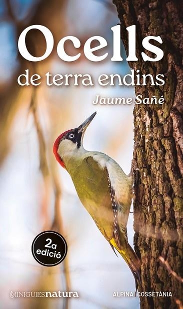 OCELLS DE TERRA ENDINS | 9788413563725 | SAÑÉ, JAUME | Llibreria La Gralla | Librería online de Granollers