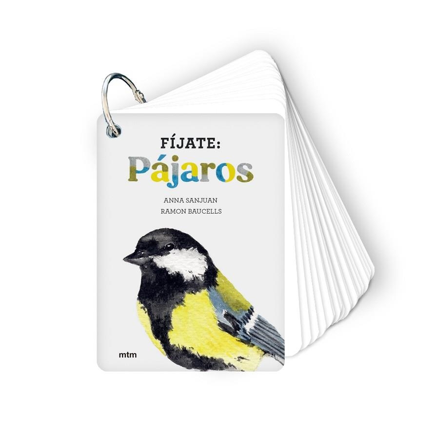 FÍJATE: PÁJAROS | 9788417165819 | VV.AA.3 | Llibreria La Gralla | Llibreria online de Granollers