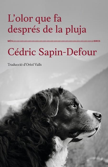 OLOR QUE FA DESPRÉS DE LA PLUJA, L' | 9788417353568 | SAPIN-DEFOUR, CEDRIC | Llibreria La Gralla | Llibreria online de Granollers