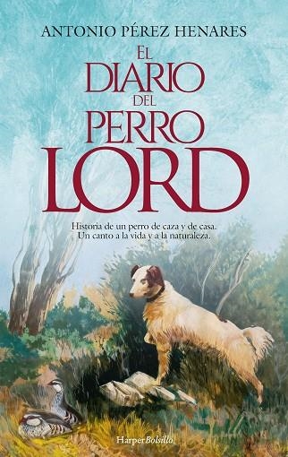 DIARIO DEL PERRO LORD, EL (BOLSILLO) | 9788419809384 | PÉREZ HENARES, ANTONIO | Llibreria La Gralla | Llibreria online de Granollers