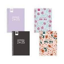 AGENDA FINOCAM ESCOLAR 2024-25 1/8 COOL COLORS DP | 8422952377085 | 64503 | Llibreria La Gralla | Librería online de Granollers