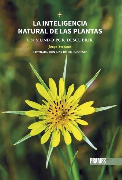 INTELIGENCIA NATURAL DE LAS PLANTAS, LA. UN MUNDO POR DESCUBRIR | 9788483215944 | JORGE SERRANO | Llibreria La Gralla | Llibreria online de Granollers