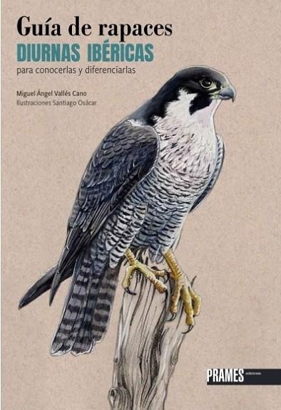 GUÍA DE RAPACES DIURNAS IBÉRICAS PARA CONOCERLAS Y DIFERENCIARLAS | 9788483215951 | VALLÉS CANO, MIGUEL ANGEL | Llibreria La Gralla | Llibreria online de Granollers