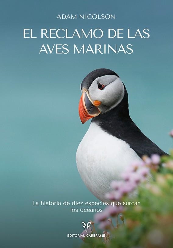 RECLAMO DE LAS AVES MARINAS, EL | 9788412724158 | NICOLSON, ADAM | Llibreria La Gralla | Llibreria online de Granollers