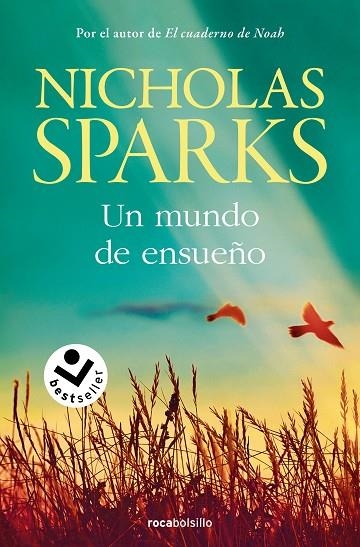 UN MUNDO DE ENSUEÑO | 9788419498311 | SPARKS, NICHOLAS | Llibreria La Gralla | Llibreria online de Granollers