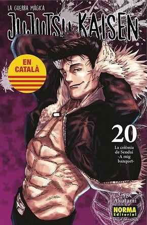 JUJUTSU KAISEN 20 CATALA | 9788467969924 | AKUTAMI, GEGE | Llibreria La Gralla | Llibreria online de Granollers