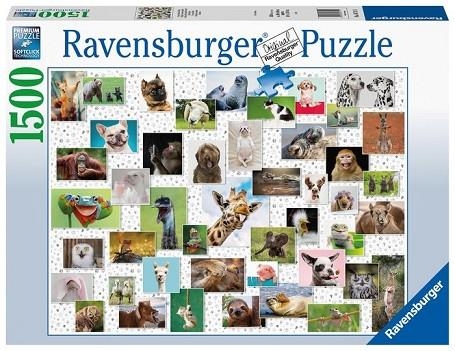 PUZZLE 1500 PZ COLLAGE DE ANIMALES DIVERTIDOS | 4005556167111 | RAVENSBURGUER | Llibreria La Gralla | Llibreria online de Granollers