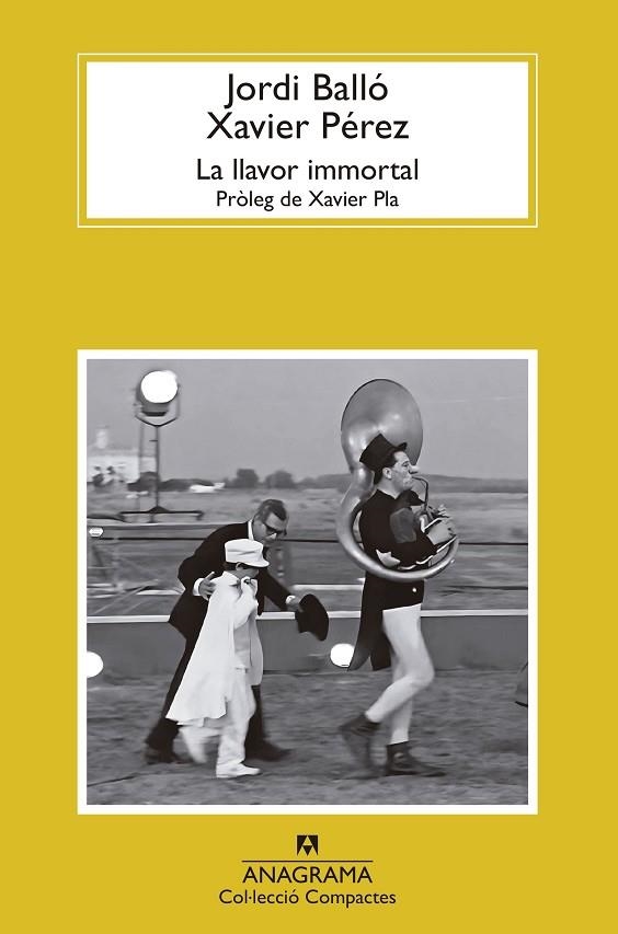 LLAVOR IMMORTAL, LA | 9788433927347 | BALLÓ, JORDI ;  PÉREZ, XAVIER | Llibreria La Gralla | Llibreria online de Granollers