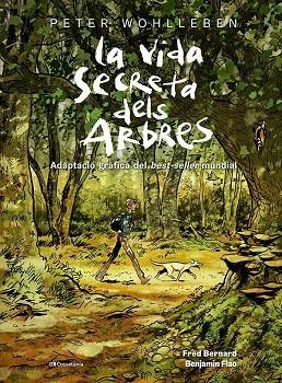 VIDA SECRETA DELS ARBRES, LA | 9788413563855 | BERNARD, FRED ;  WOHLLEBEN, PETER | Llibreria La Gralla | Llibreria online de Granollers