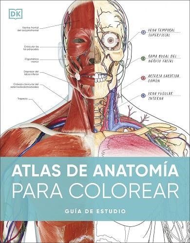 ATLAS DE ANATOMÍA PARA COLOREAR | 9780241703090 | VVAA | Llibreria La Gralla | Llibreria online de Granollers