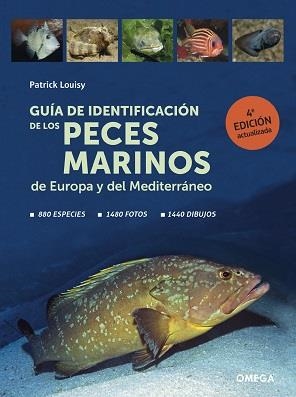 GUIA DE IDENTIFICACION DE LOS PECES MARINOS DE EUROPA | 9788428217774 | PATRICK LOUISY | Llibreria La Gralla | Llibreria online de Granollers