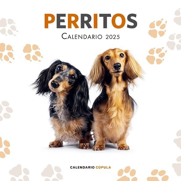 CALENDARIO PERRITOS 2025 | 9788448041649 | AA. VV. | Llibreria La Gralla | Librería online de Granollers