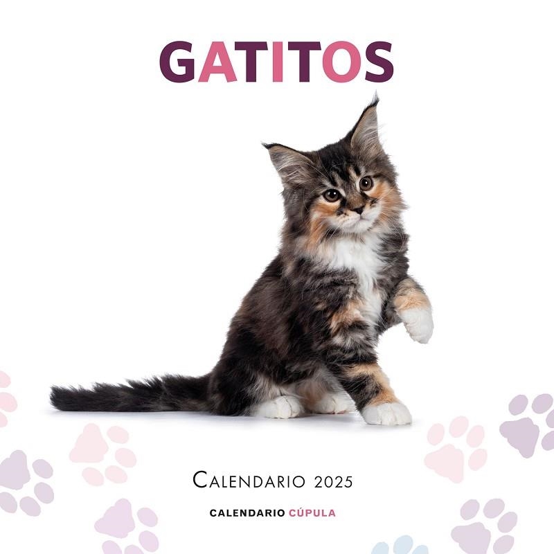 CALENDARIO GATITOS 2025 | 9788448041656 | AA. VV. | Llibreria La Gralla | Librería online de Granollers