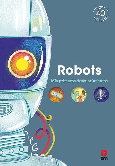 ROBOTS | 9788411826266 | KECIR-LEPETIT, EMMANUELLE | Llibreria La Gralla | Llibreria online de Granollers