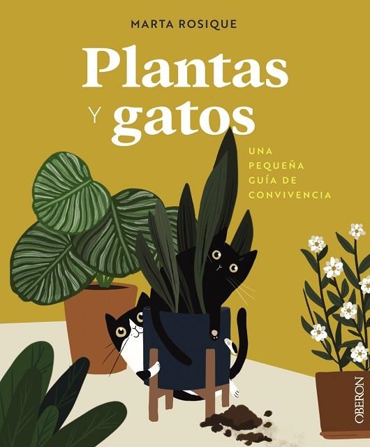 PLANTAS Y GATOS | 9788441550605 | ROSIQUE, MARTA | Llibreria La Gralla | Llibreria online de Granollers