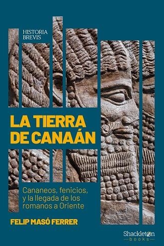 TIERRA DE CANAÁN, LA | 9788413613178 | MASÓ FERRER, FELIP | Llibreria La Gralla | Llibreria online de Granollers