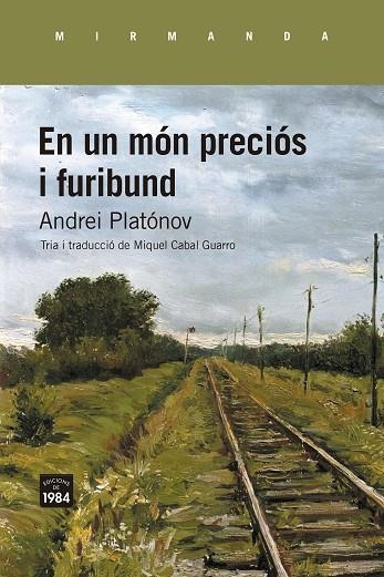 EN UN MÓN PRECIÓS I FURIBUND | 9788418858857 | PLATÓNOV, ANDREI | Llibreria La Gralla | Llibreria online de Granollers