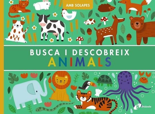 BUSCA I DESCOBREIX. ANIMALS | 9788413493916 | WEERASEKERA, REBECCA | Llibreria La Gralla | Llibreria online de Granollers