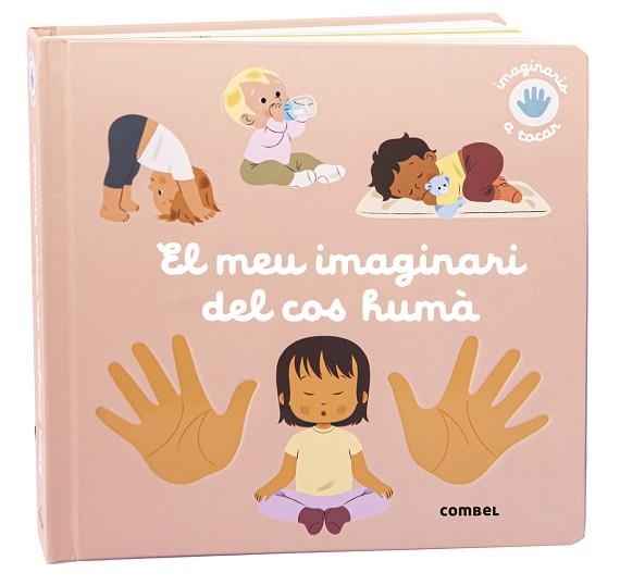 MEU IMAGINARI DEL COS HUMÀ, EL | 9788411581974 | RAGONDET, NATHAIE | Llibreria La Gralla | Llibreria online de Granollers