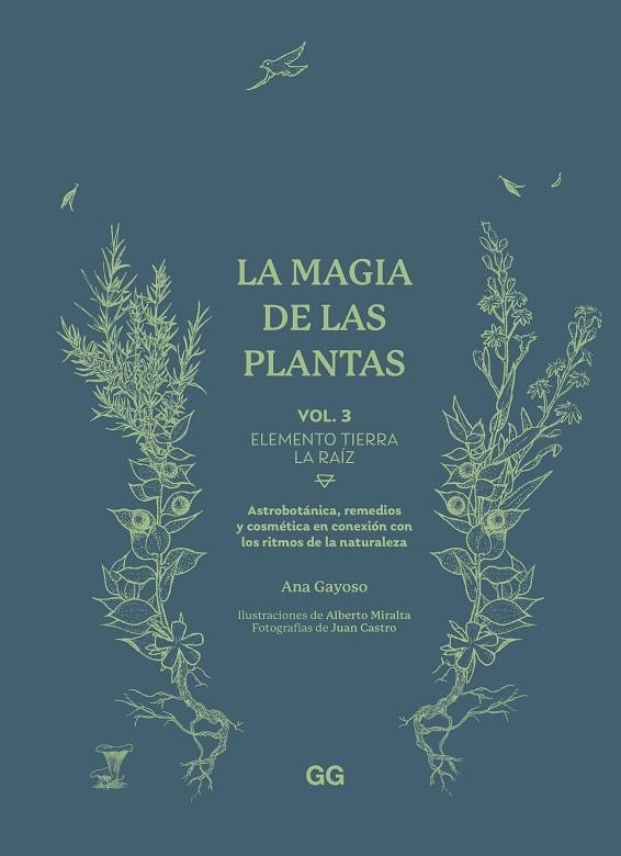 MAGIA DE LAS PLANTAS, LA | 9788425235627 | GAYOSO, ANA | Llibreria La Gralla | Llibreria online de Granollers