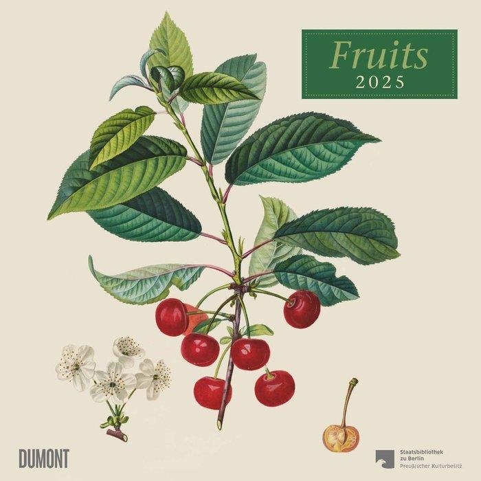 CALENDARIO 2025 FRUITS | 4250809652818 | VV.AA | Llibreria La Gralla | Llibreria online de Granollers