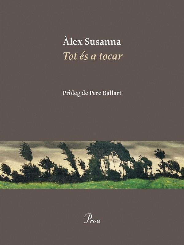 TOT ÉS A TOCAR | 9788410488045 | SUSANNA NADAL, ÀLEX | Llibreria La Gralla | Librería online de Granollers