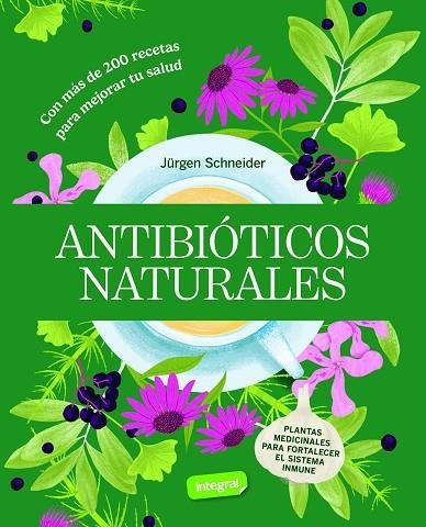 ANTIBIÓTICOS NATURALES | 9788491872870 | SCHNEIDER, JÜRGEN | Llibreria La Gralla | Llibreria online de Granollers