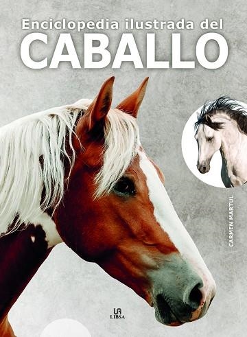 ENCICLOPEDIA ILUSTRADA DEL CABALLO | 9788466242462 | MARTUL HERNÁNDEZ, CARMEN | Llibreria La Gralla | Llibreria online de Granollers