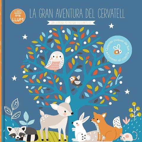 LLIBRES AMB LLUM... LA GRAN AVENTURA DEL CERVATELL | 9788413342788 | KENDALL WENDY | Llibreria La Gralla | Llibreria online de Granollers