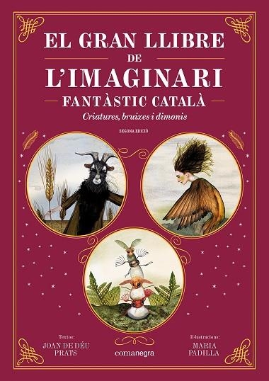 GRAN LLIBRE DE L'IMAGINARI FANTÀSTIC CATALÀ, EL | 9788410161344 | PRATS, JOAN DE DÉU ; PADILLA, MARIA | Llibreria La Gralla | Llibreria online de Granollers