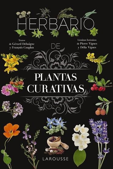 HERBARIO DE PLANTAS CURATIVAS | 9788410124110 | VIGNES, PIERRE ;  VIGNES, DÉLIA | Llibreria La Gralla | Llibreria online de Granollers