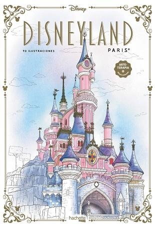 DISNEYLAND PARÍS | 9788419804396 | AA.VV. | Llibreria La Gralla | Llibreria online de Granollers