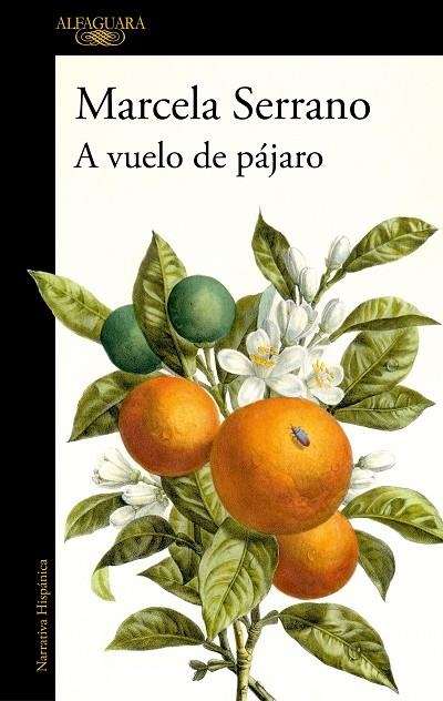 A VUELO DE PÁJARO | 9788420477978 | SERRANO, MARCELA | Llibreria La Gralla | Llibreria online de Granollers