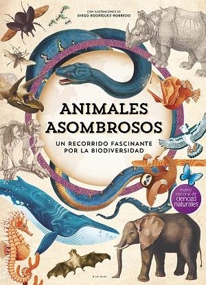 ANIMALES ASOMBROSOS | 9788410269101 | VVAA | Llibreria La Gralla | Llibreria online de Granollers