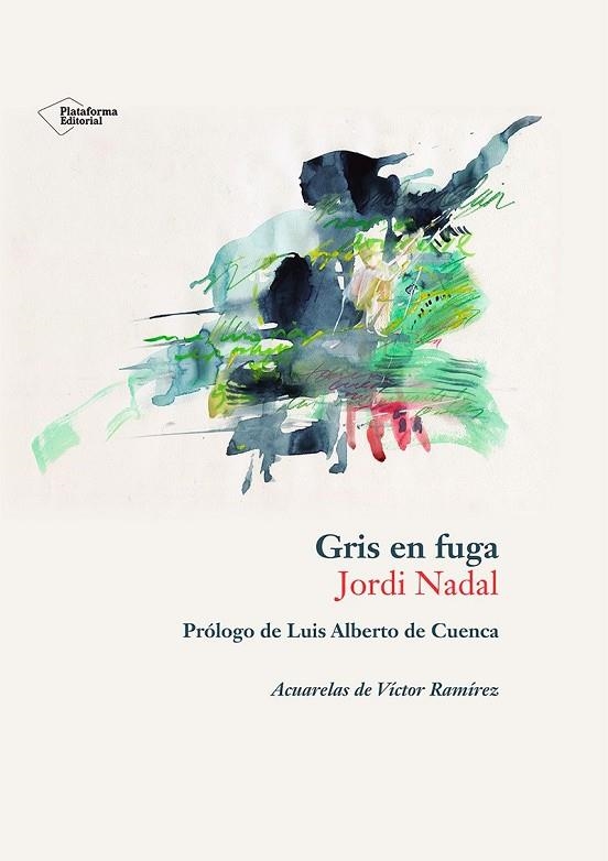 GRIS EN FUGA | 9788410243897 | NADAL HERNÁNDEZ, JORDI | Llibreria La Gralla | Llibreria online de Granollers