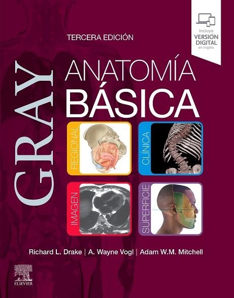 GRAY. ANATOMÍA BÁSICA, 3.ª EDICIÓN | 9788413825083 | AA.VV. | Llibreria La Gralla | Llibreria online de Granollers