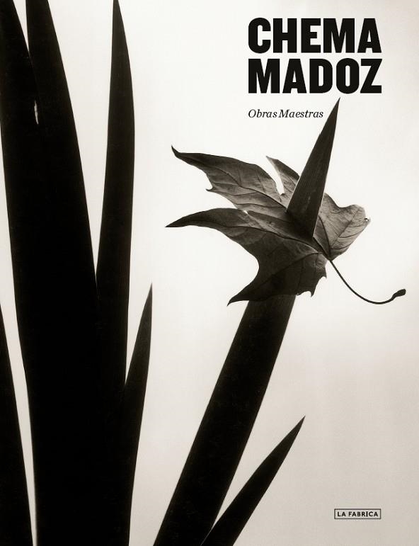 CHEMA MADOZ. | 9788418934353 | MADOZ, CHEMA | Llibreria La Gralla | Llibreria online de Granollers