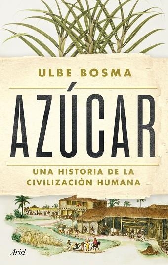 AZÚCAR | 9788434438286 | BOSMA, ULBE | Llibreria La Gralla | Llibreria online de Granollers