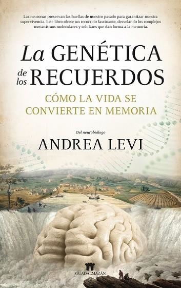 GENÉTICA DE LOS RECUERDOS, LA | 9788419414540 | LEVI, ANDREA | Llibreria La Gralla | Llibreria online de Granollers